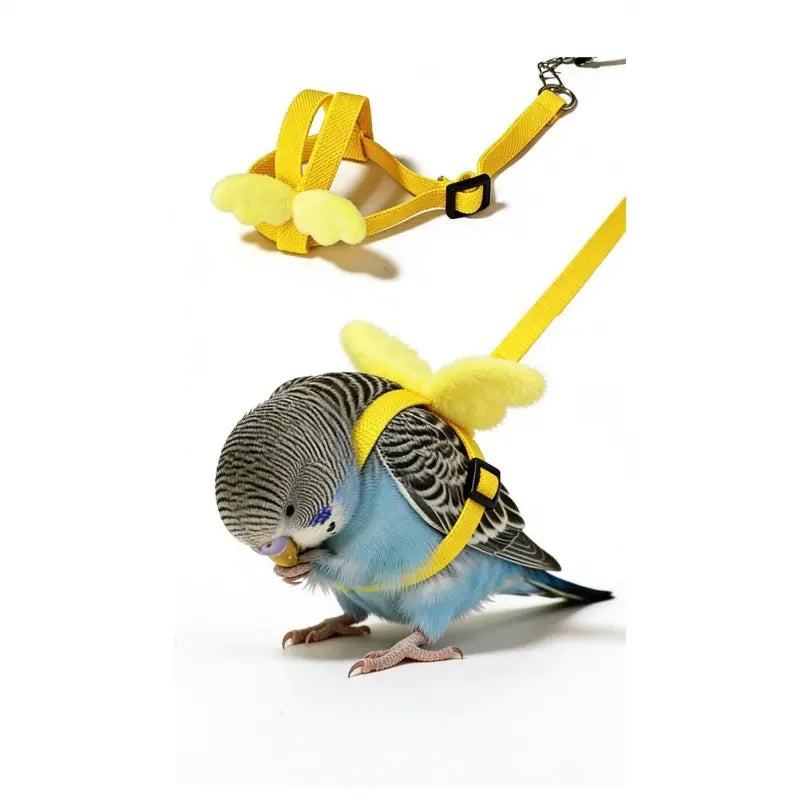 Adjustable Bird Harness & Flight Leash Set – Lightweight Outdoor Training Harness for Cockatiels, Budgies & Lovebirds