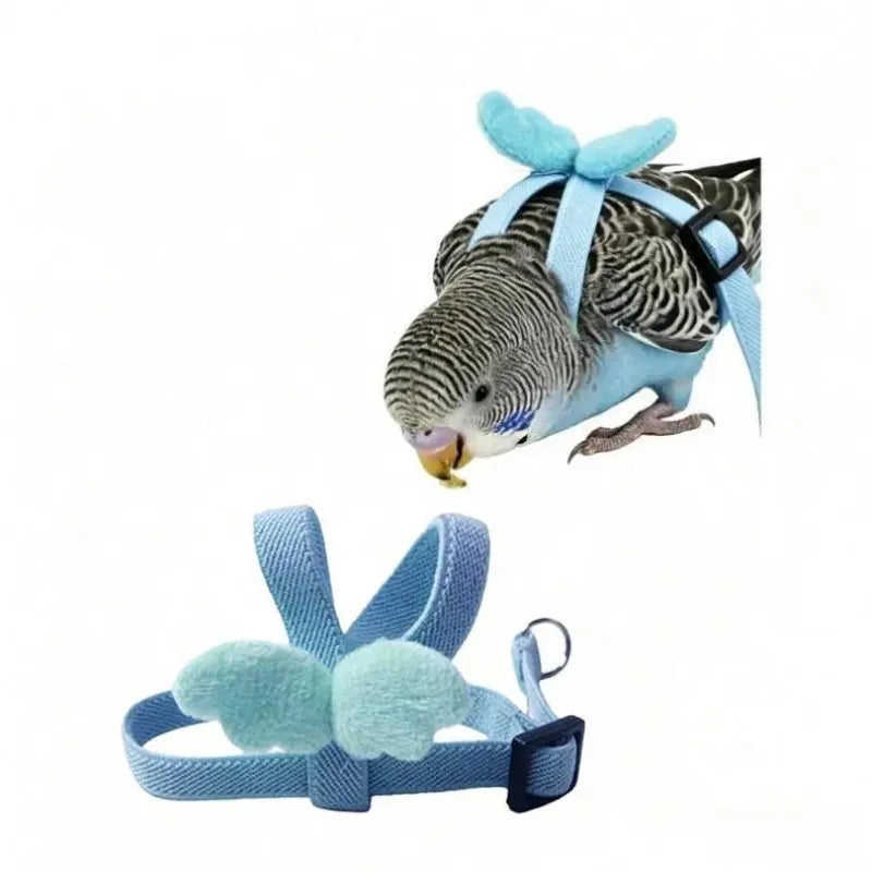 Adjustable Bird Harness & Flight Leash Set – Lightweight Outdoor Training Harness for Cockatiels, Budgies & Lovebirds